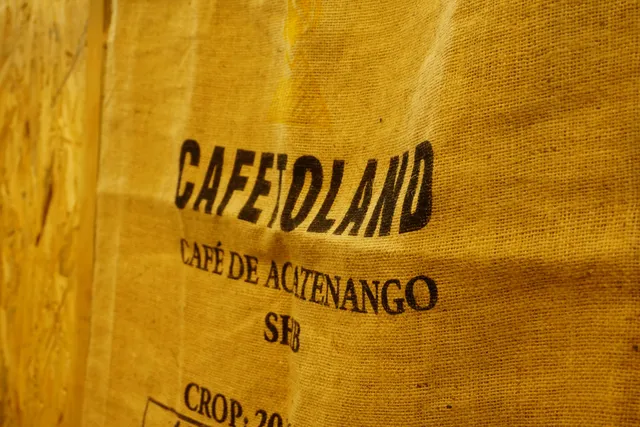 Nuestras exposiciones.