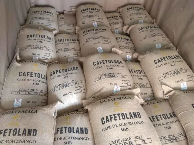 Nuestra producción.